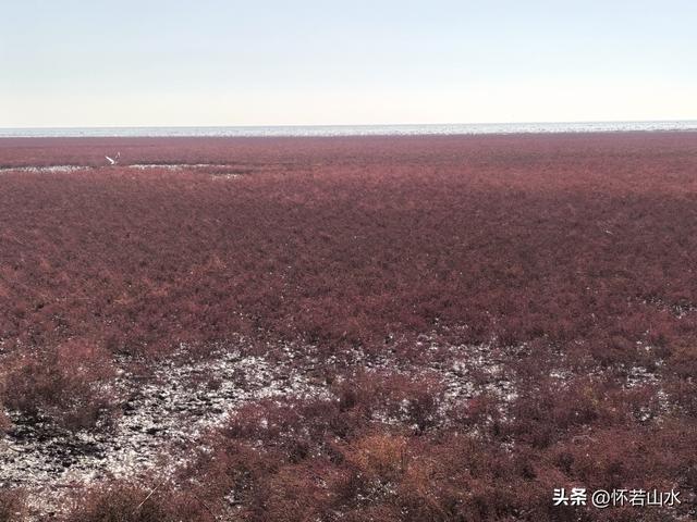 2025辽宁赏秋之旅日记(5)——从本溪前往盘锦 游览红海滩景观