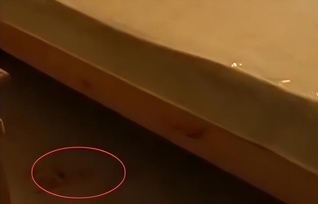 台积电和半导体如何支撑起台湾人的高薪？