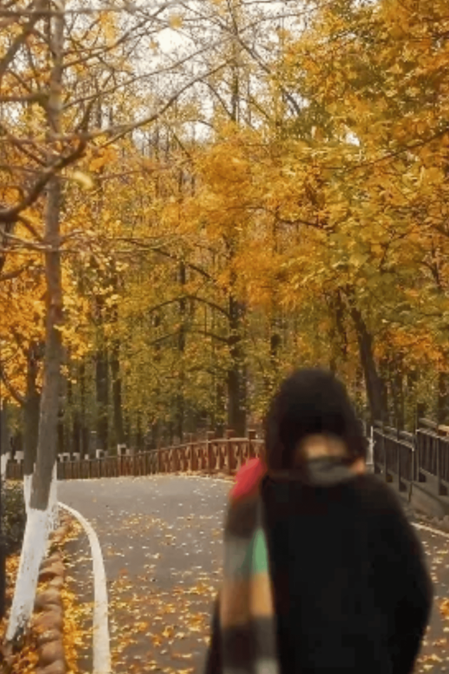 “植愈力”满分！金坛茅山秋冬植物大赏~