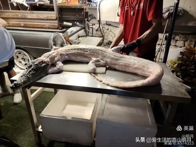 泰国旅游第五日