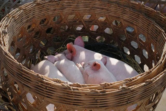 又挖到一座冷门宝藏小城，这次真给我玩嗨了