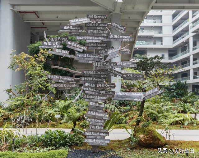 想去！华大时空中心遛娃攻略来啦！