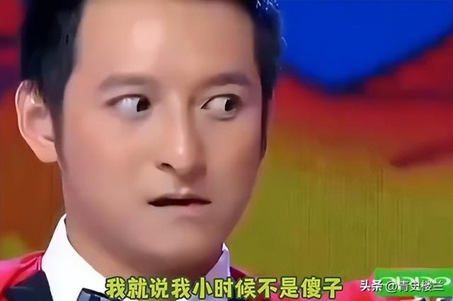 钱再多有什么用？从主持人到“精神病”，48岁李维嘉现状令人唏嘘