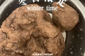 新鲜茯苓如何处理呢！图片
