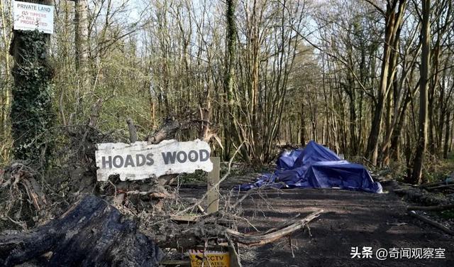 美女高管被害，揭开了整个国家的伤口，震怒英国的案件