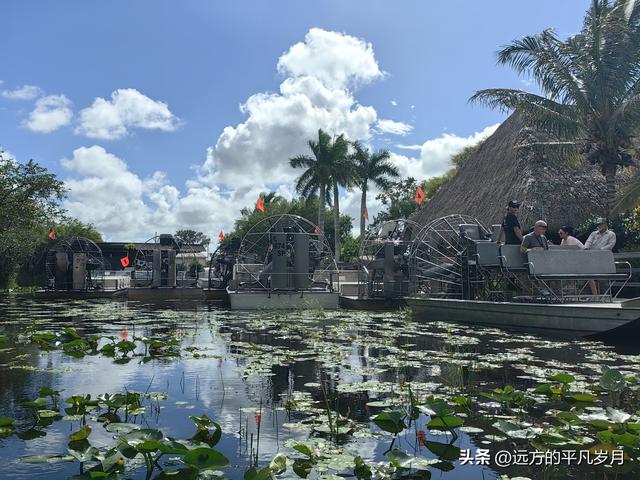 大沼泽地美国国家公园（迈阿密游记三）