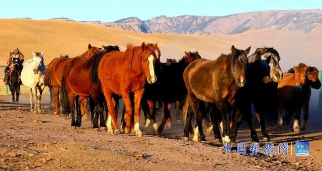 张掖山丹：冬日山丹马场风光美如画