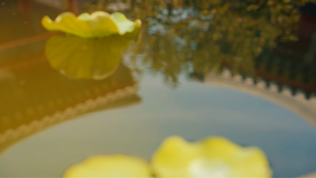 为什么中式院子里一定要摆大水缸？老农3句话，让人茅塞顿开！