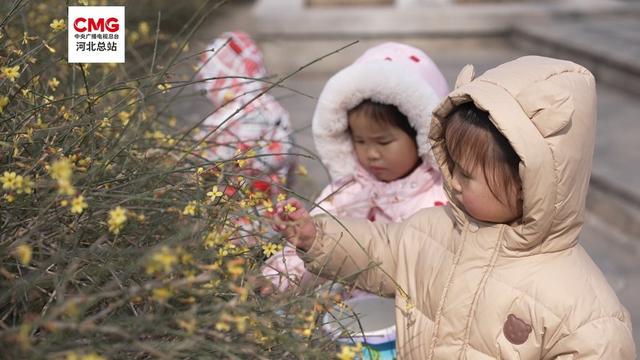 石家庄：春风拂绿绽繁花 一城美景入画来