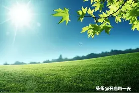 人老了就会发现，越孝顺的子女，越容易对你恶语相向图片