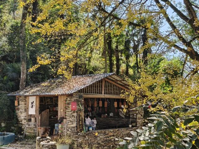 邵阳人藏不住的秋冬快乐!这些“金色浪漫”,@所有人来约!