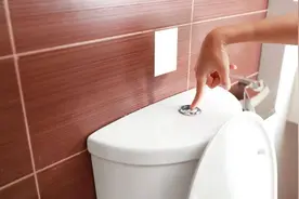 排出的大便一粒一粒的，像“羊粪球”，是怎么回事？如何缓解？图片