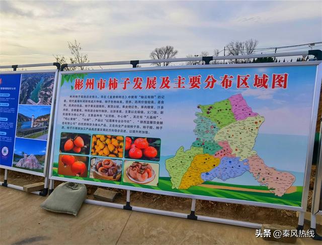 彬州市：多举措提升罗店村柿林观赏地游客满意度