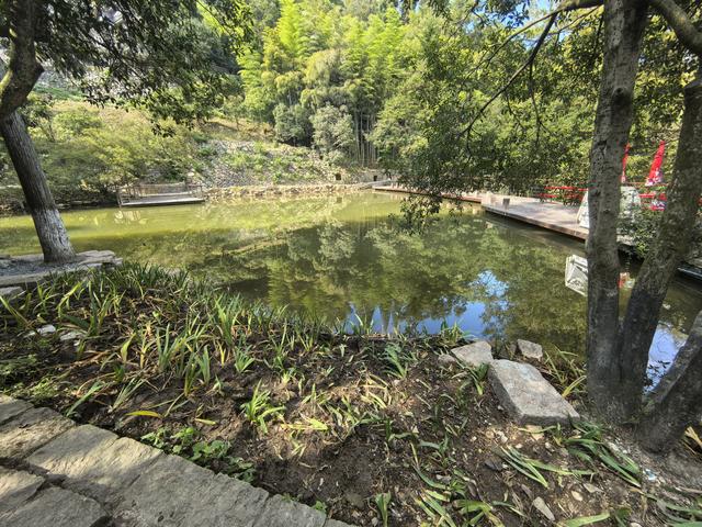 浙江湖州市德清县莫干山国家级风景名胜区游记（上）
