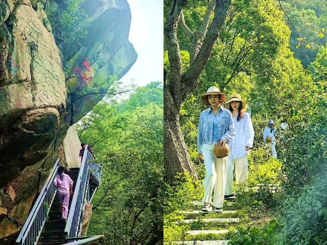 桐柏县禺峰茶园民宿:寻觅山野清凉与茶香雅韵