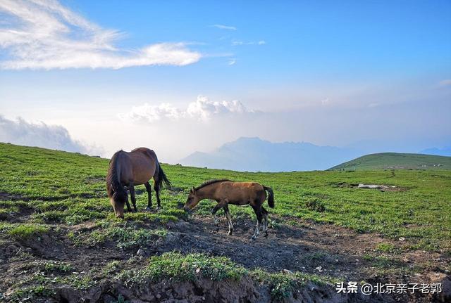 京津自驾六大避暑高山草甸精简攻略