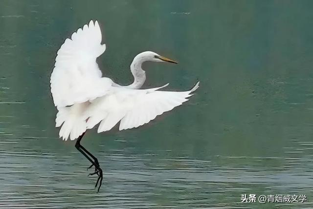 出伏啦（随记）
