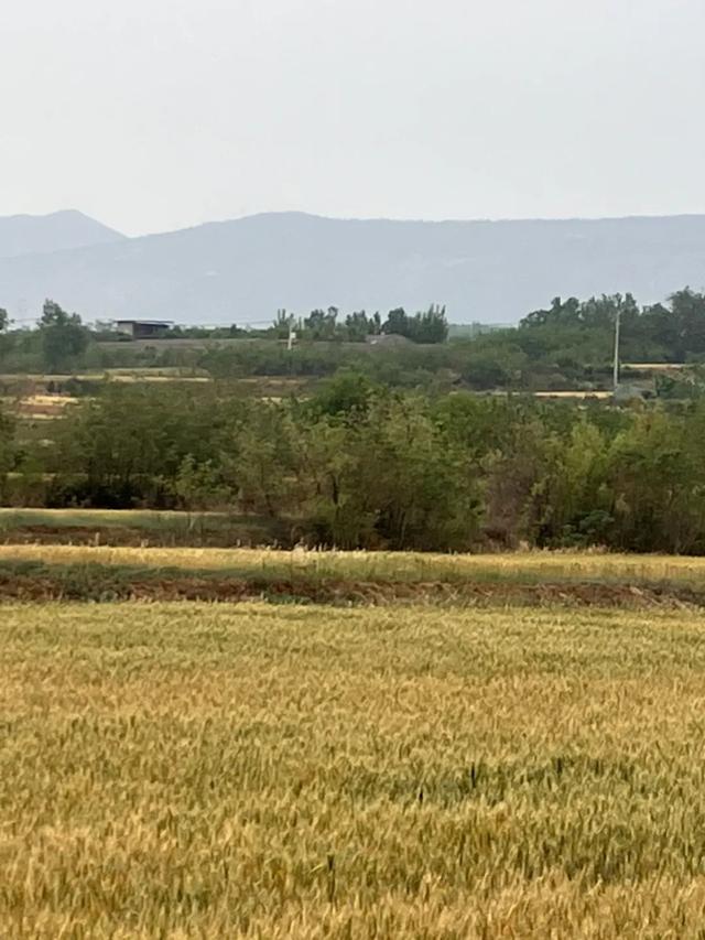 6月，谁说天空一无所有？(下)