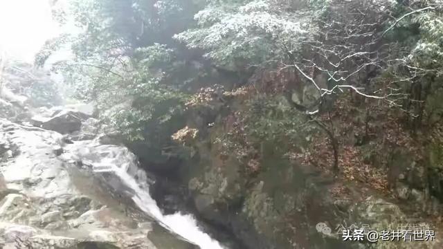 雨雪龙须禅寺 || 胡成江
