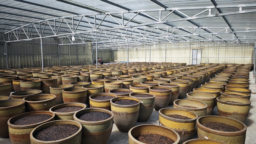 独辟蹊径酿醇香!新型豆酱香型白酒发明专利诞生记(图2) 独辟蹊径酿醇香!新型豆酱香型白酒发明专利诞生记(图2)