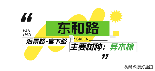 盐田林荫道，永远是封神的存在
