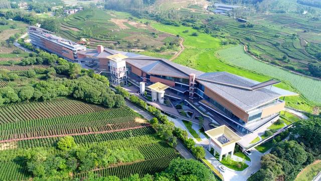国庆期间集中试业！8大国内头部乡村酒店品牌落户惠州