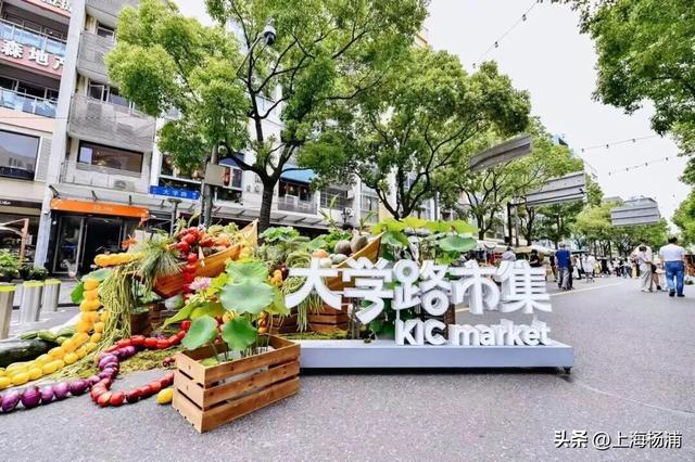 2025上海旅游节，杨浦这些好玩的别错过