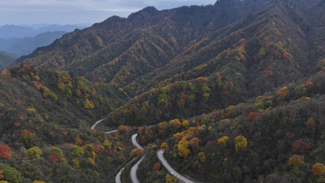 秦岭为何能把中国地貌一分为二