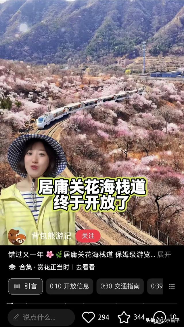 明天居庸关花海栈道正式开放！游览必看指南→