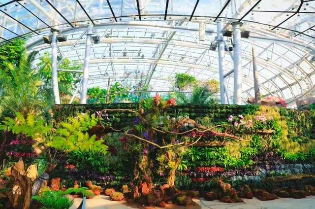 立春过后，来海淀赴一场繁花之约