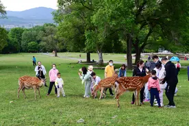 “花式”上新宠客，“五一”假期哈尔滨“旅游菜单”欢乐又高能！图片