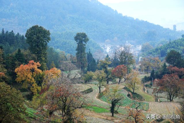 秋色塔川，无梦到徽州