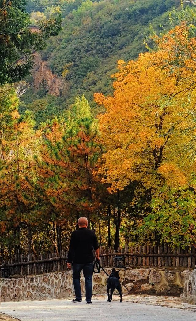 初冬，来森栖小镇给自己放个假！煮茶、读书、民宿，满满都是治愈