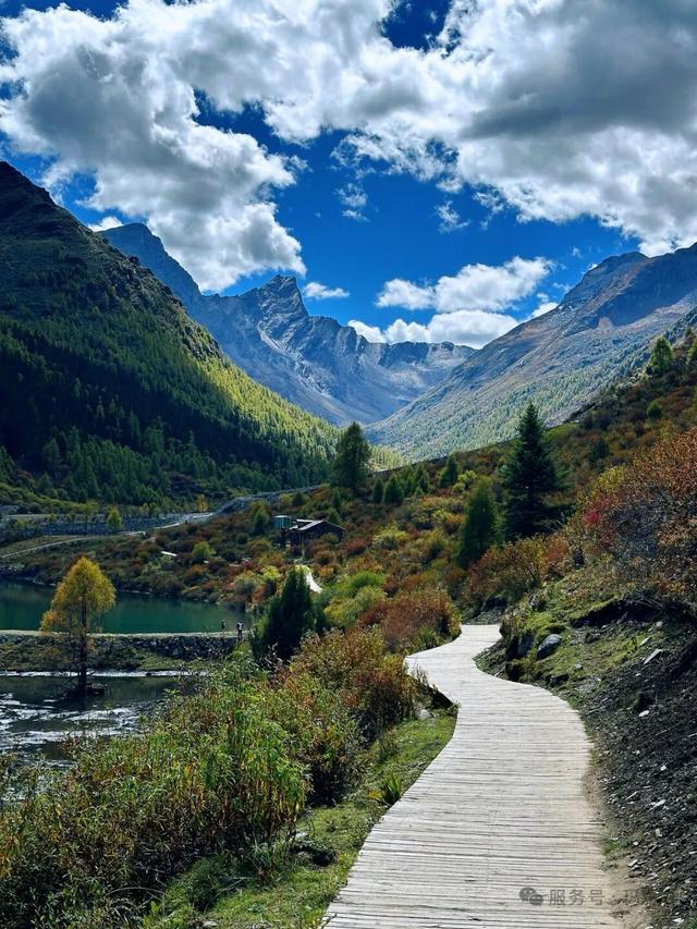 接下来，小金是这样的~