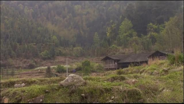 山居这些年,探访过无数苗族村寨,除了羡慕还是羡慕