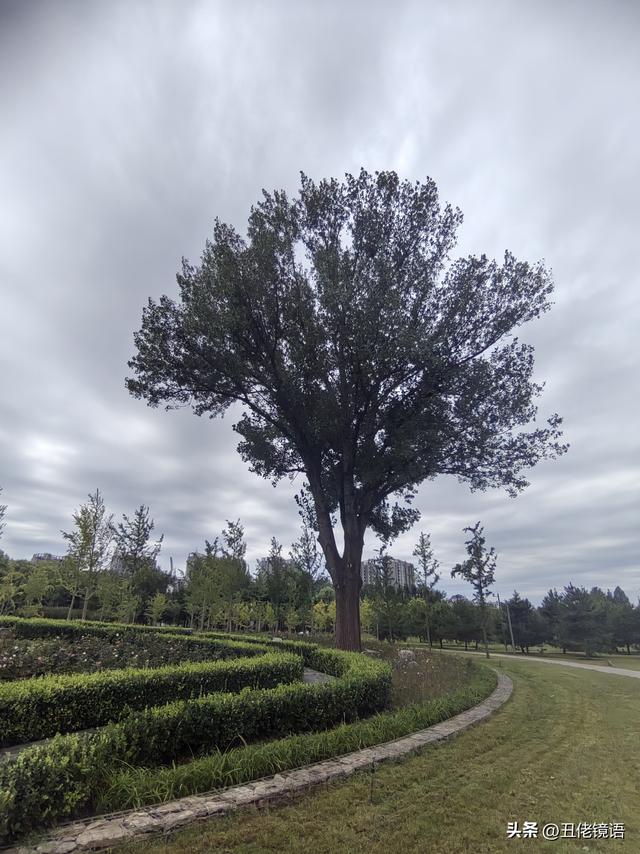自拍影集（40）减河公园：藏于时光间的静谧之美