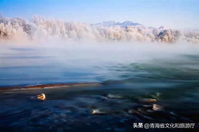 青海初冬：静谧藏诗意，温柔入画来