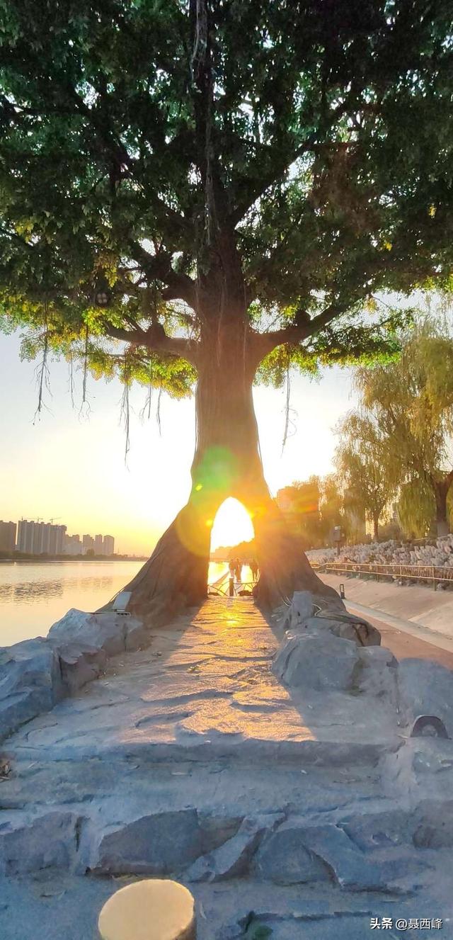 诗一首:日落咸阳湖