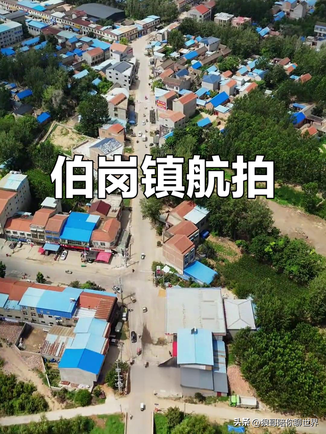 一篇文章带你了解柘城县下属所有乡镇！跟我走吧！