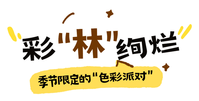 管他什么假，不放假也要来阿坝！