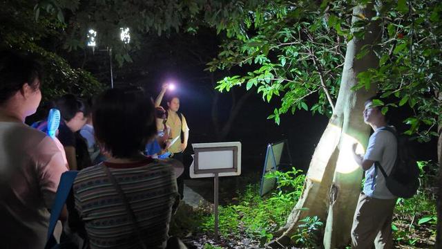 解锁公园的“N种打开方式”，一起来夏令营吧！