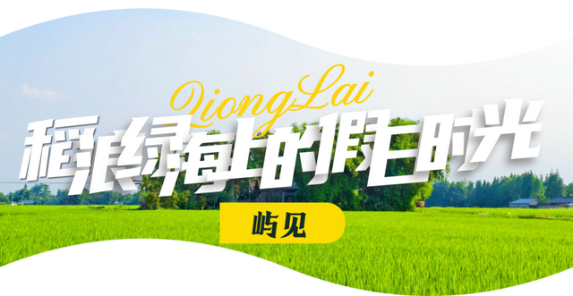 夏崃｜在稻浪绿海中，邂逅漫画夏天与“岛屿”假日