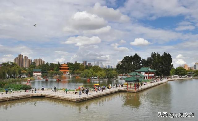 滇池度假区赏杏观鸥超级攻略！2025-2026跨年狂欢！40载人鸥情缘+百场活动承包暖冬