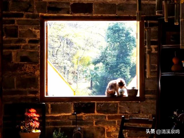 璞山舍：山野诗行