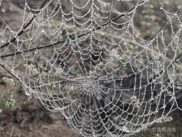 雪玲子：我是蓝川常在的云