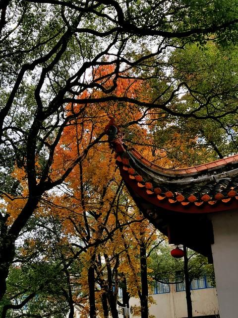 长沙私藏的五个红叶仙境，拍摄到最后一个美到词穷！