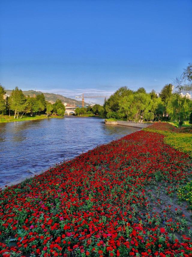 大量江苏游客涌入西宁，打着旅游幌子不去旅游不吃美食，为啥来？