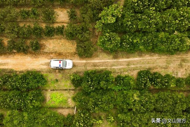 打卡文山最美秋冬，这份攻略千万别错过！