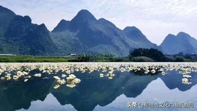 一个被严重低估的宝藏地！卸载48小时城市内卷，到鹿寨中渡加载山水与人间烟火