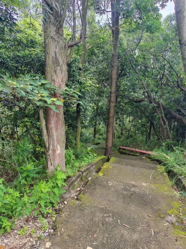 曾腾芳：在珠海登将军山